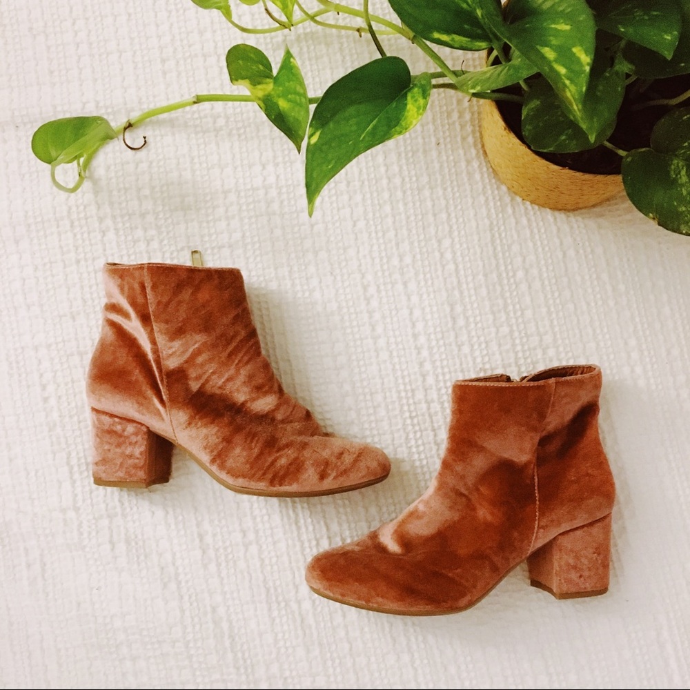 Steve Madden | Pink Velvet Booties